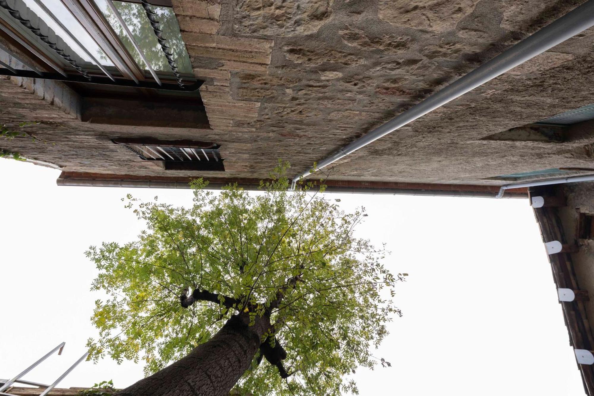 Hotel La Freixera Solsona Exterior photo